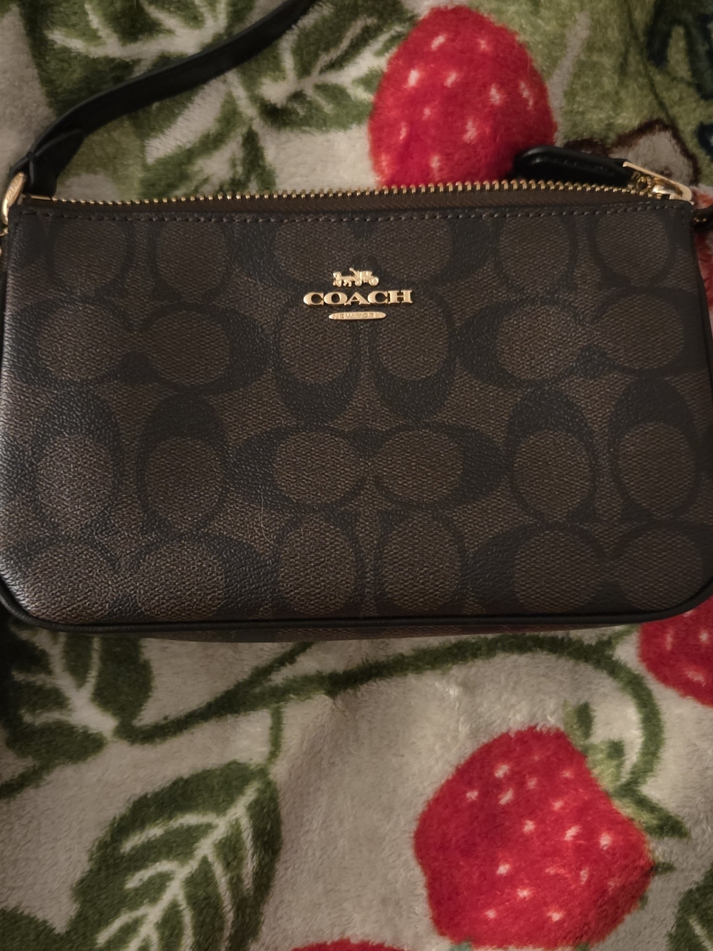 COACH Signature Nolita 19